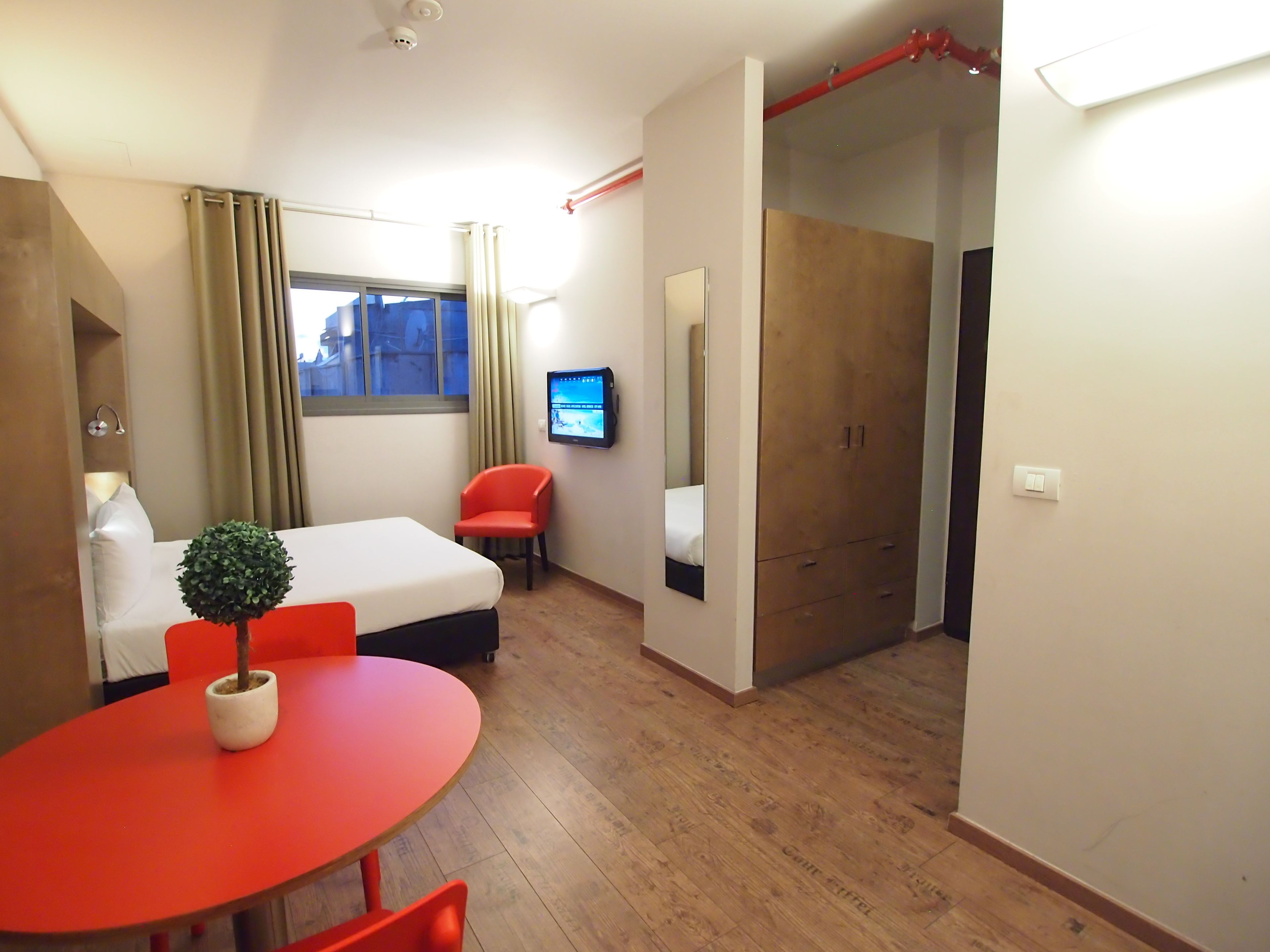 A hotel room with a bed, a TV, a desk with a chair, a small plant, and a wardrobe.