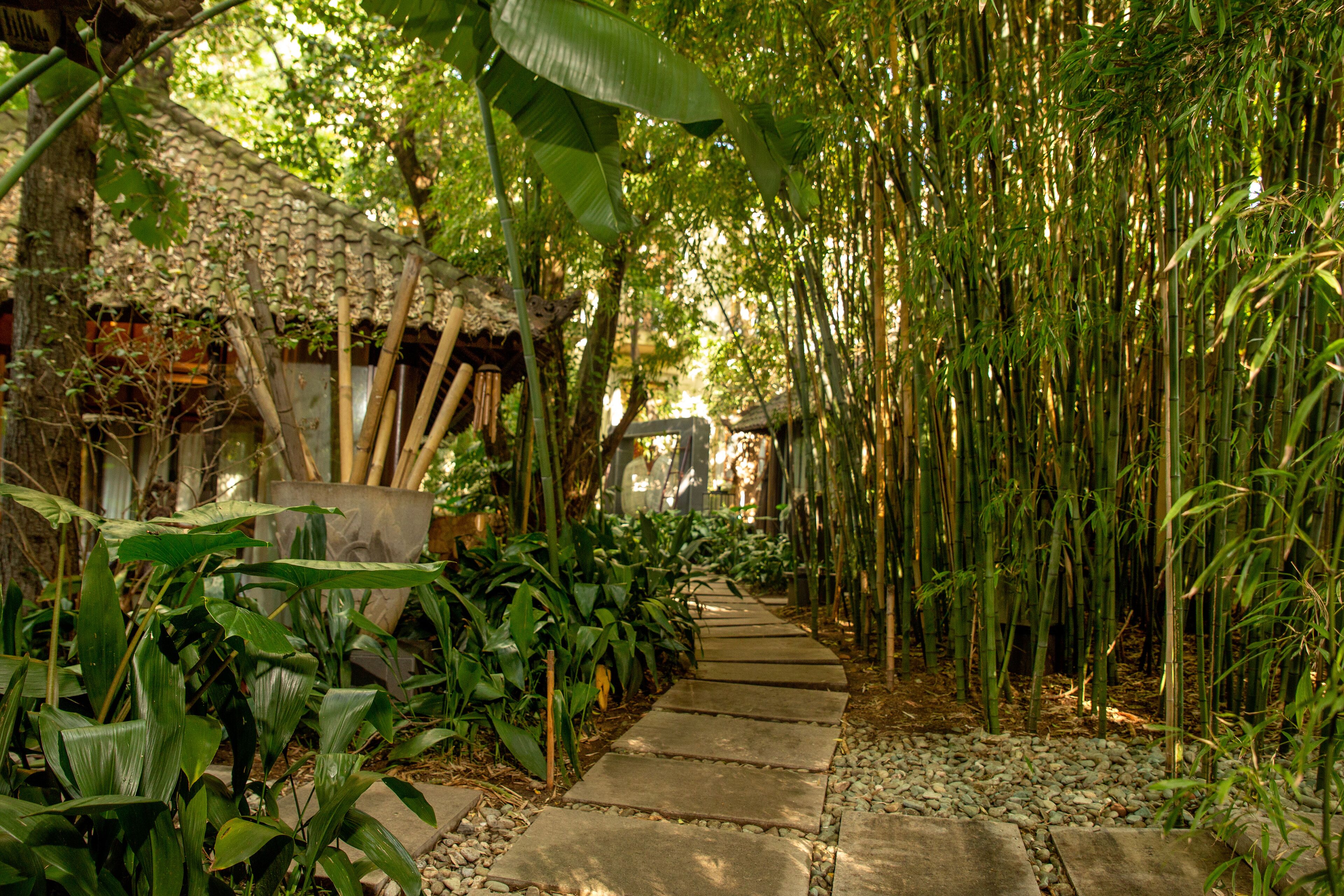 couples treatment room(s), sauna, hot tub, body treatments, hydrotherapy