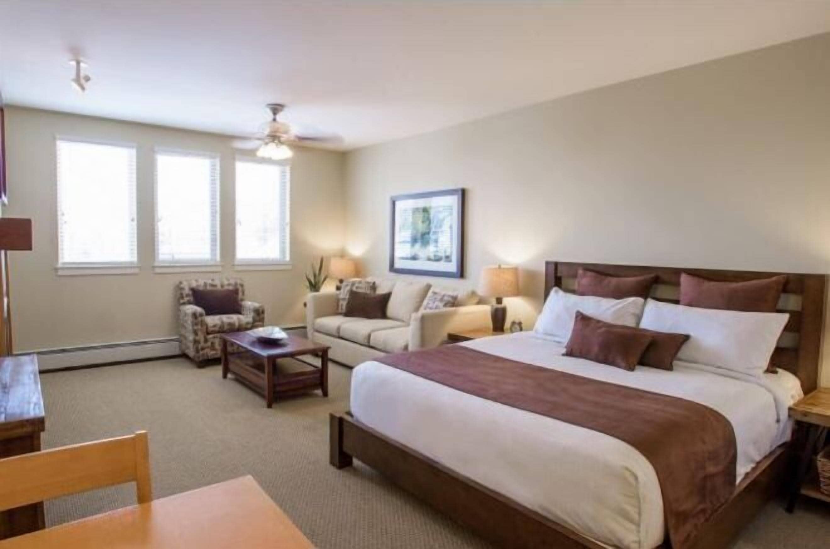 高級寝具、アイロン / アイロン台、可動式ベッド、WiFi (無料)