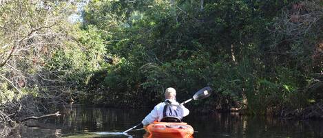 A person kayaking on a calm river surrounded by dense foliage.