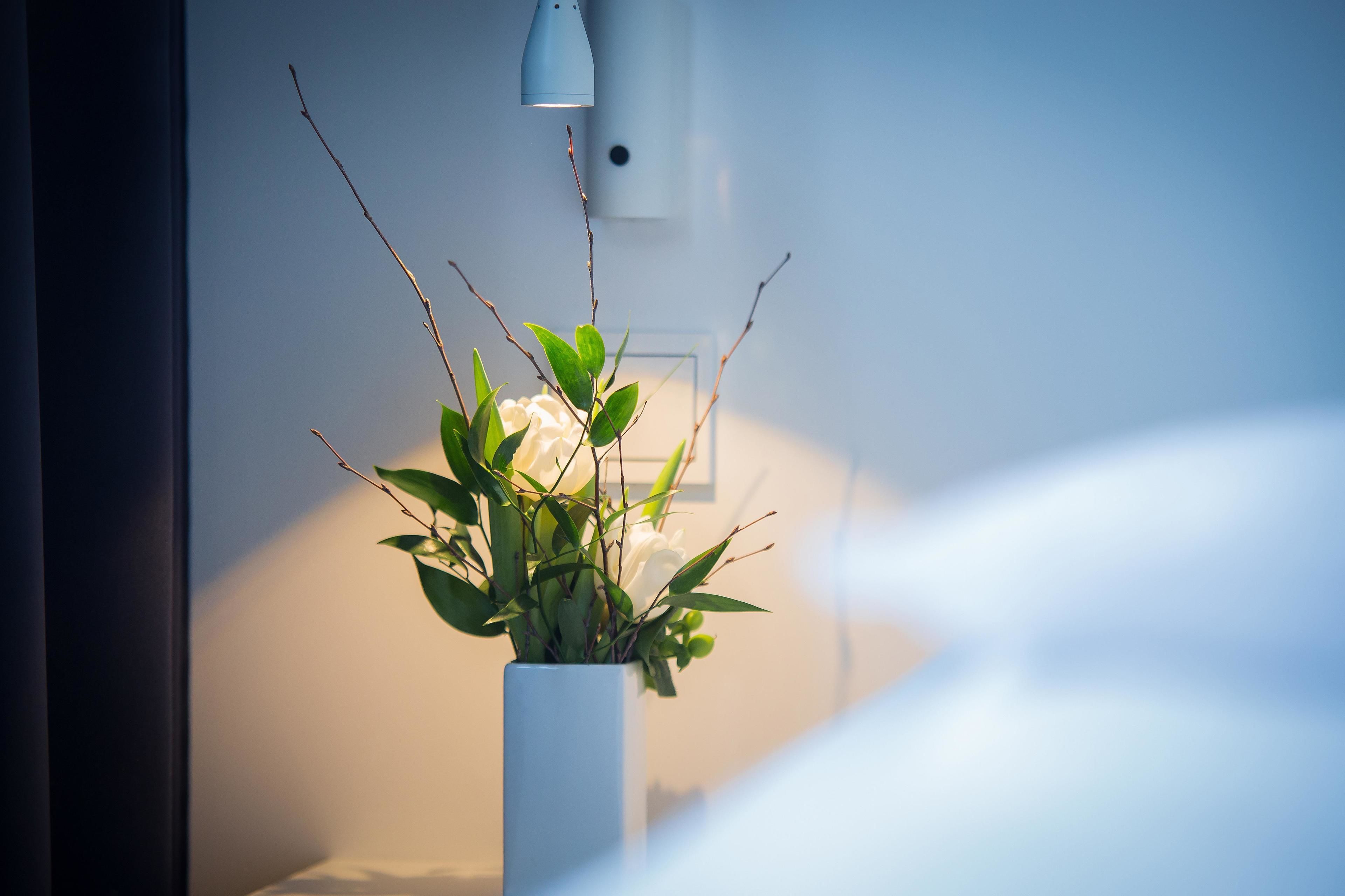 Un florero blanco con hojas verdes y flores blancas sobre una mesa.