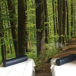 Couples treatment rooms, sauna, hot tub, hot springs, Turkish bath