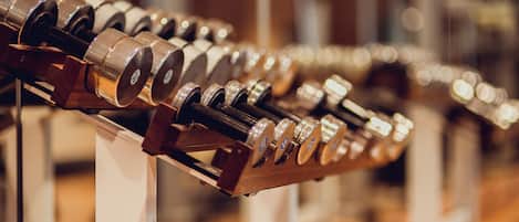 A row of dumbbells on a rack in a gym.
