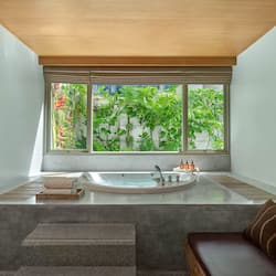Deluxe Jacuzzi | View from room