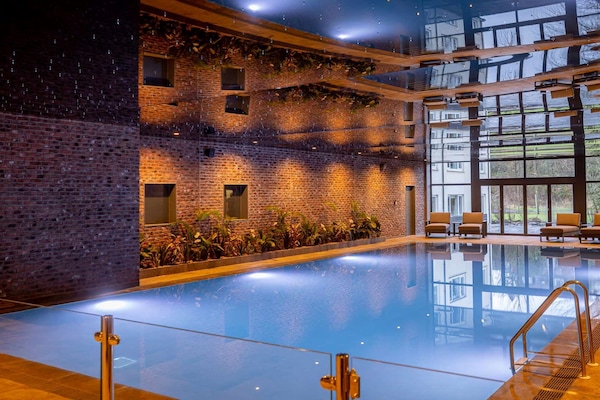 Indoor pool, sun loungers