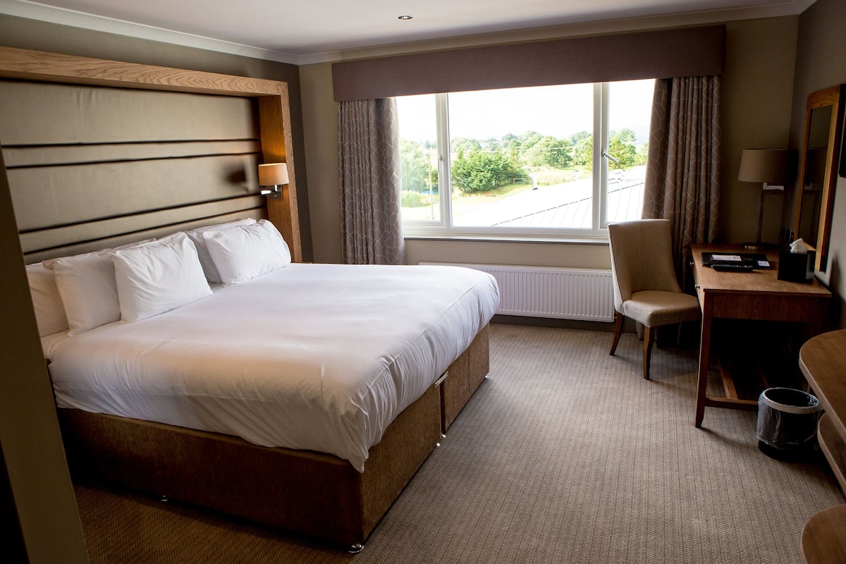 A hotel room with a large bed, a desk, a chair, and a view of the outdoors.