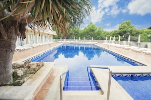 A swimming pool with tiled edges, surrounded by lounge chairs and umbrellas, with a palm tree and a building in the background.
