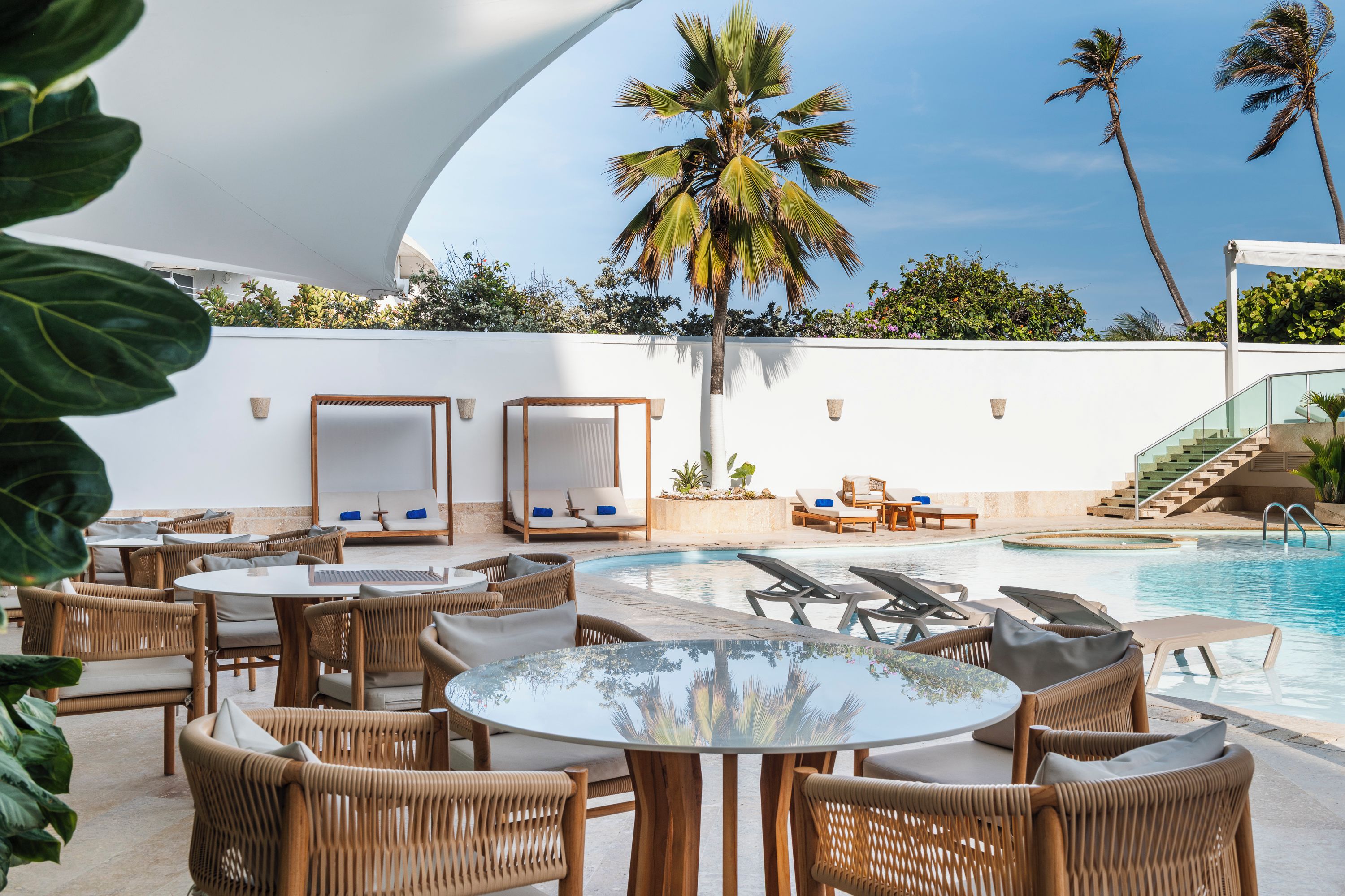 Zona junto a la piscina con sillones reclinables, una mesa de vidrio y una palmera.