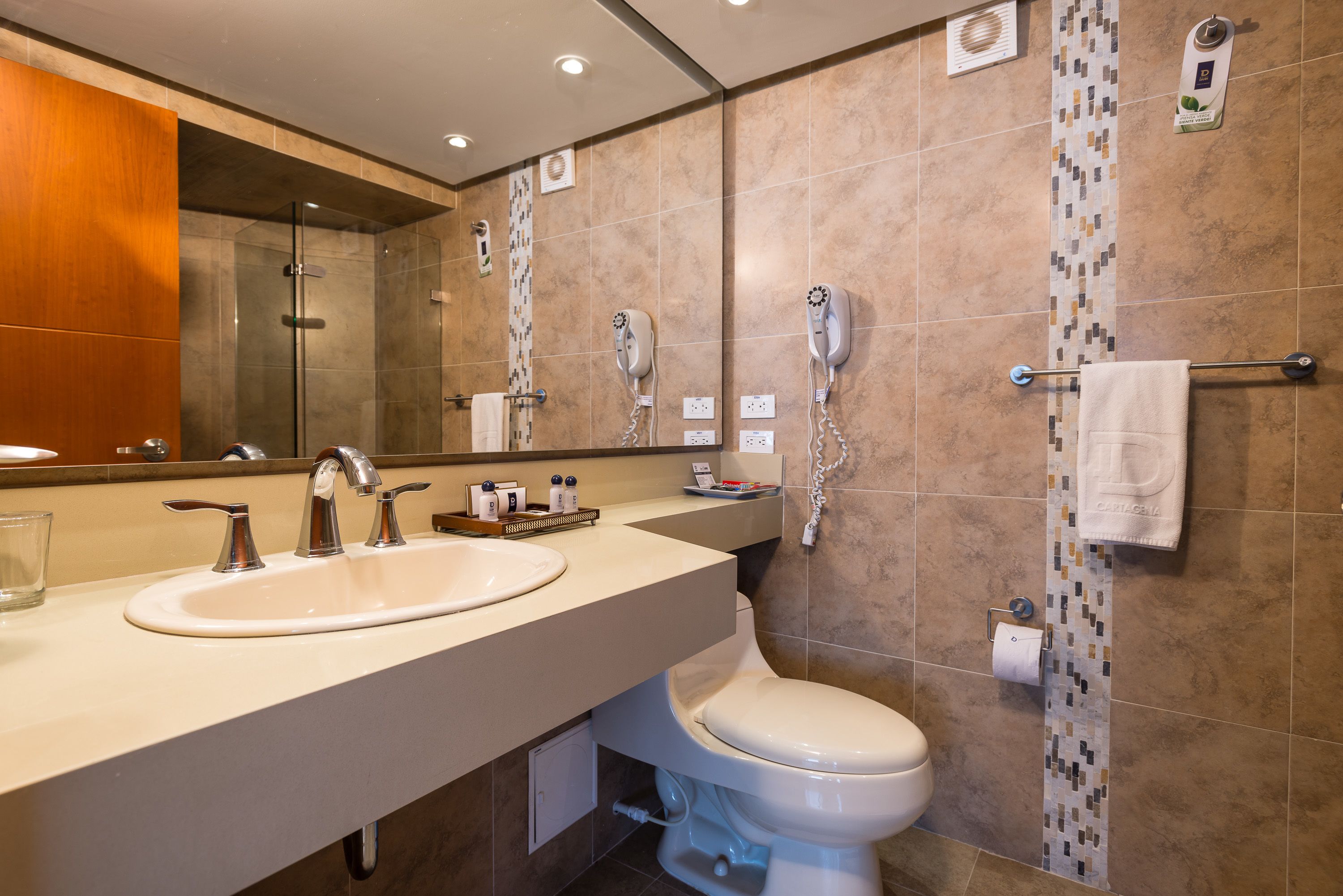 shower, eco-friendly toiletries, hair dryer, towels