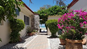 Un sendero que lleva a una playa con plantas en macetas y un muro de piedra.
