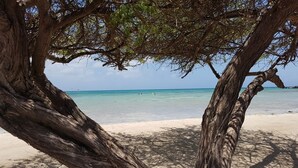 Escena de playa con un árbol grande al frente y una vista despejada del océano.
