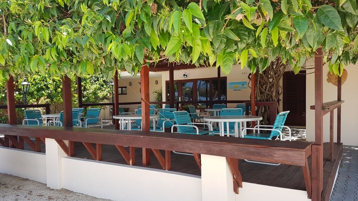 Area esterna con tavoli e sedie riparata da una pergola con vegetazione verde.