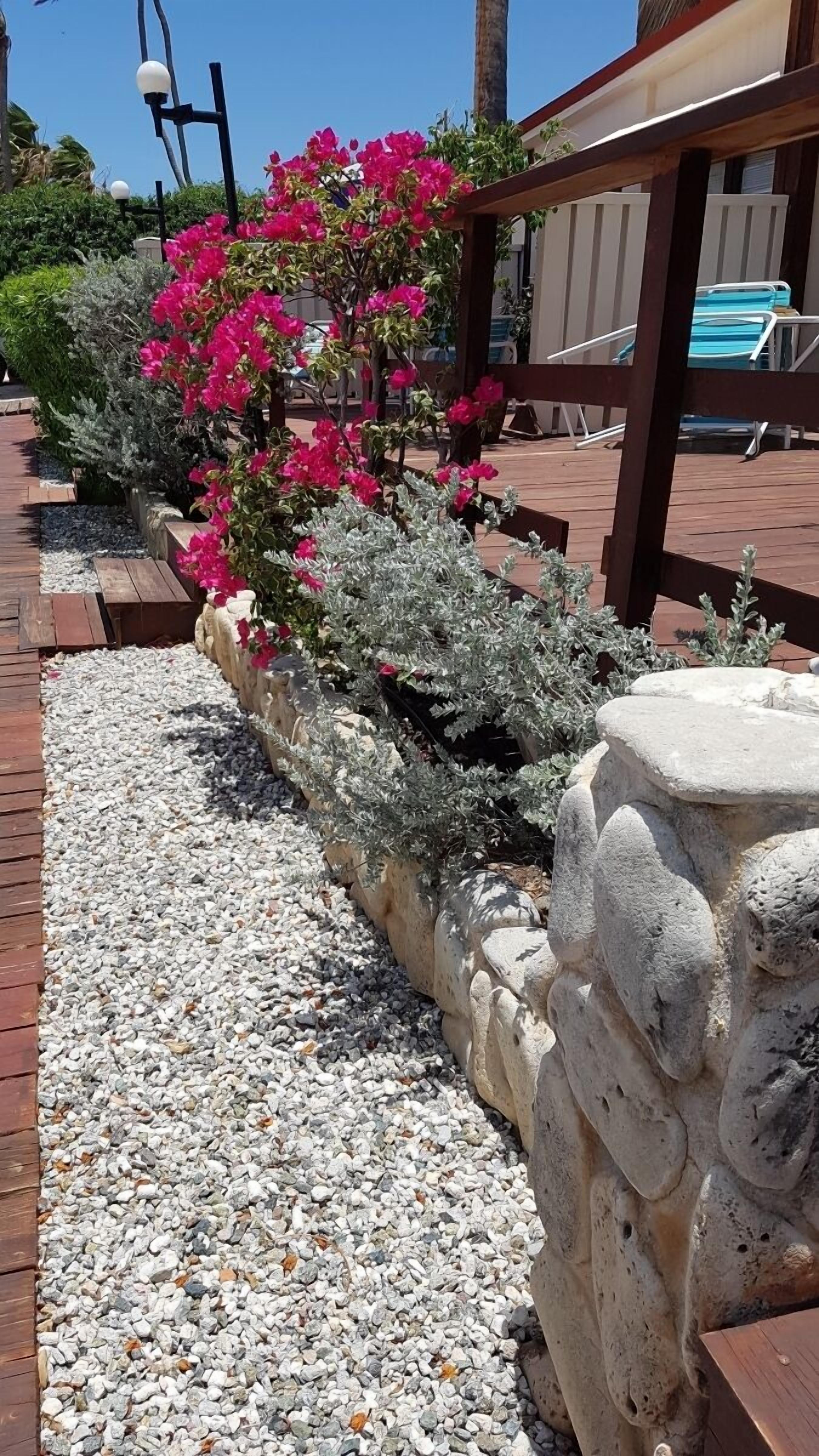 Foto - Aruba Beach Villas