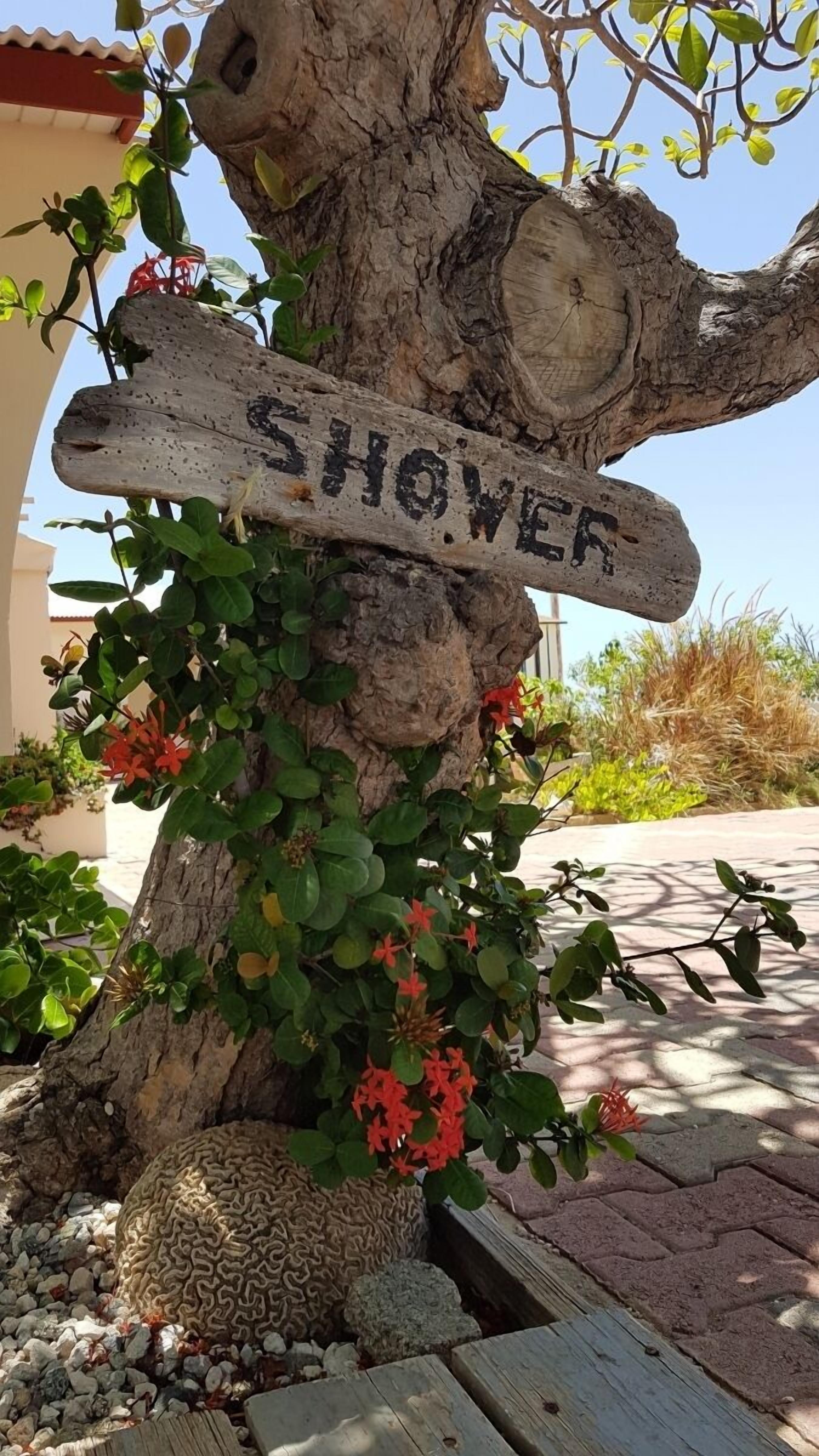 Foto - Aruba Beach Villas