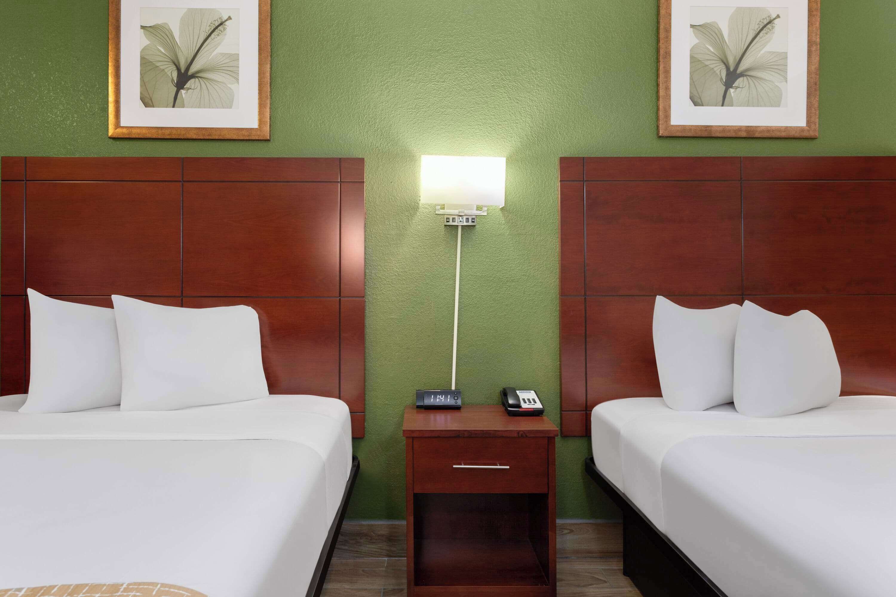 A hotel room with two beds, a nightstand with a clock and phone, and framed botanical artwork on the green walls.
