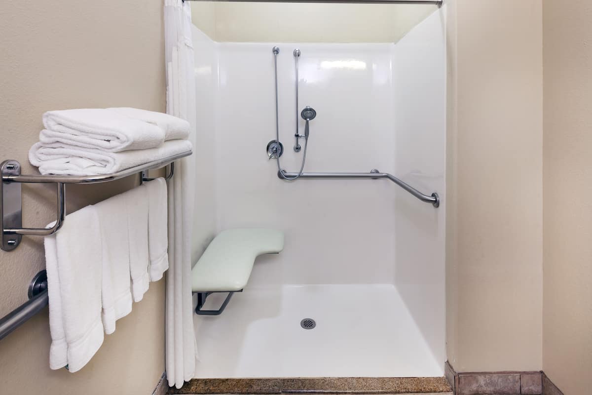 suite, 1 king bed, accessible (mobility, roll-in shower) | 1 bedroom, premium bedding, desk, laptop workspace