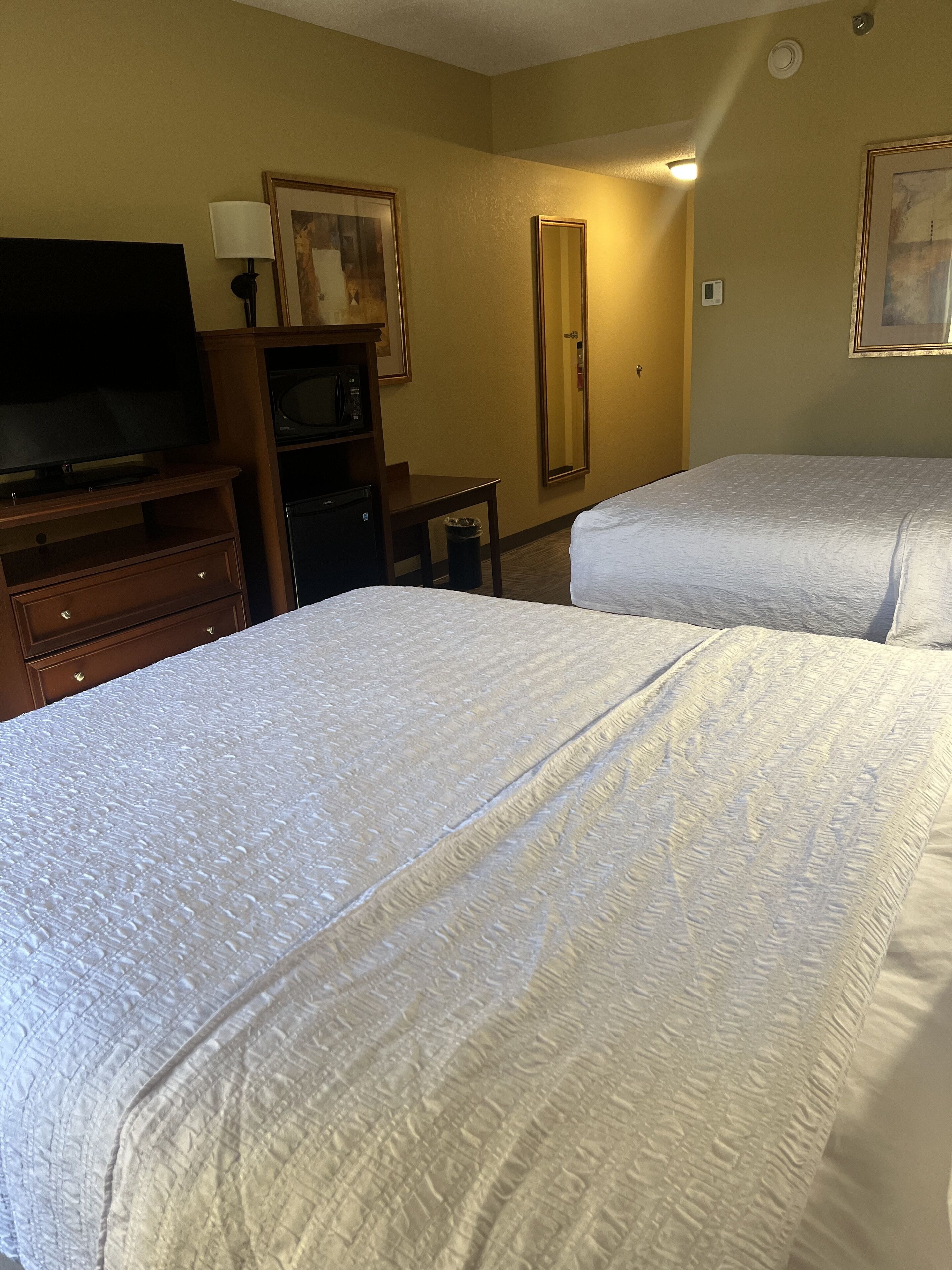 Habitación de hotel con dos camas, televisor, escritorio y espejo.