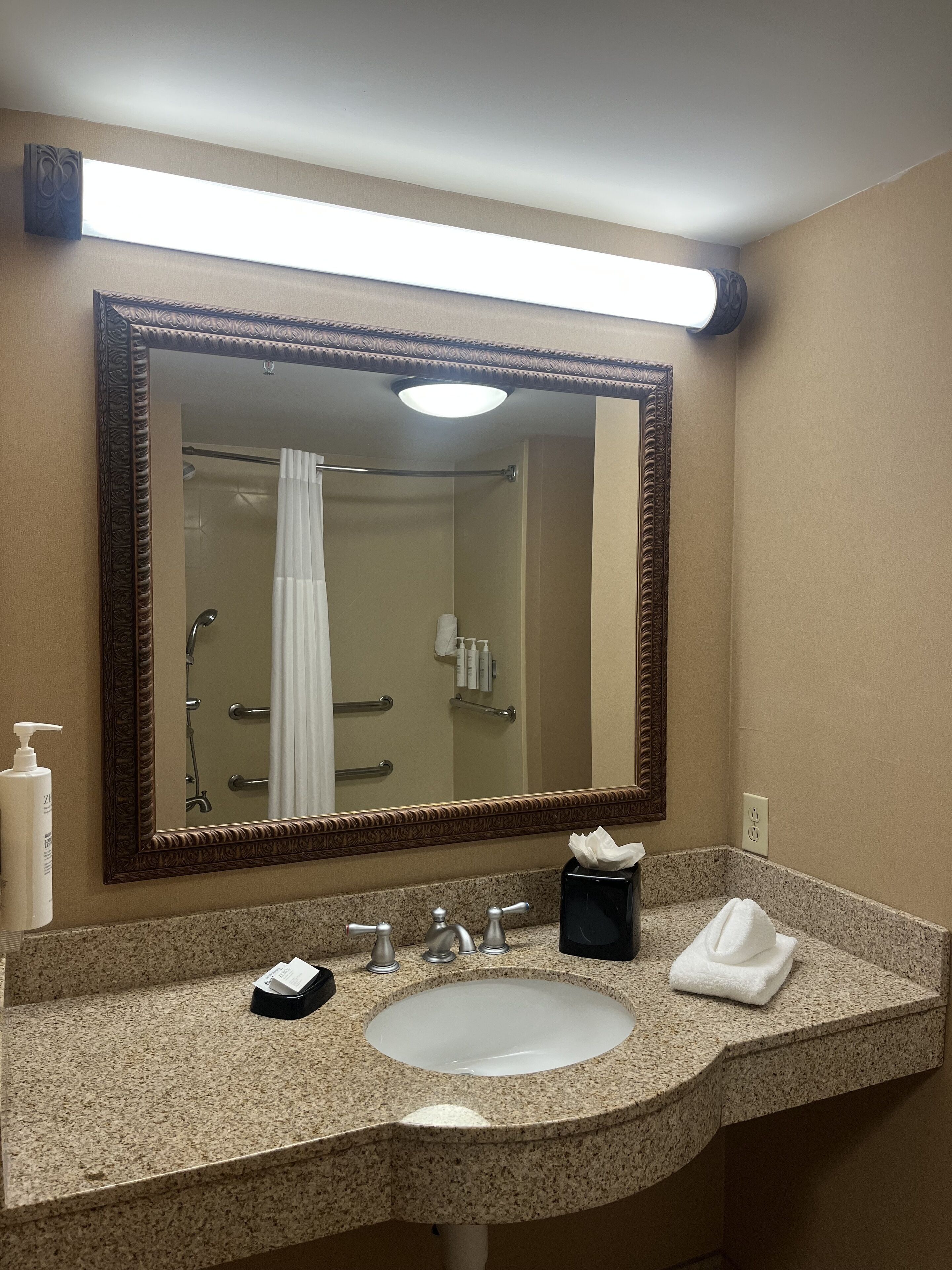 room, 1 king bed, accessible | bathroom | shower, free toiletries, hair dryer, towels