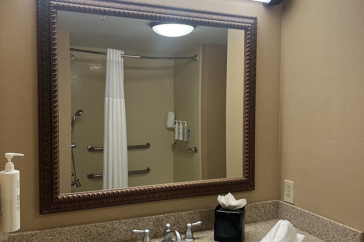 room, 1 king bed, accessible | bathroom | shower, free toiletries, hair dryer, towels