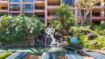 Outdoor pool, sun loungers