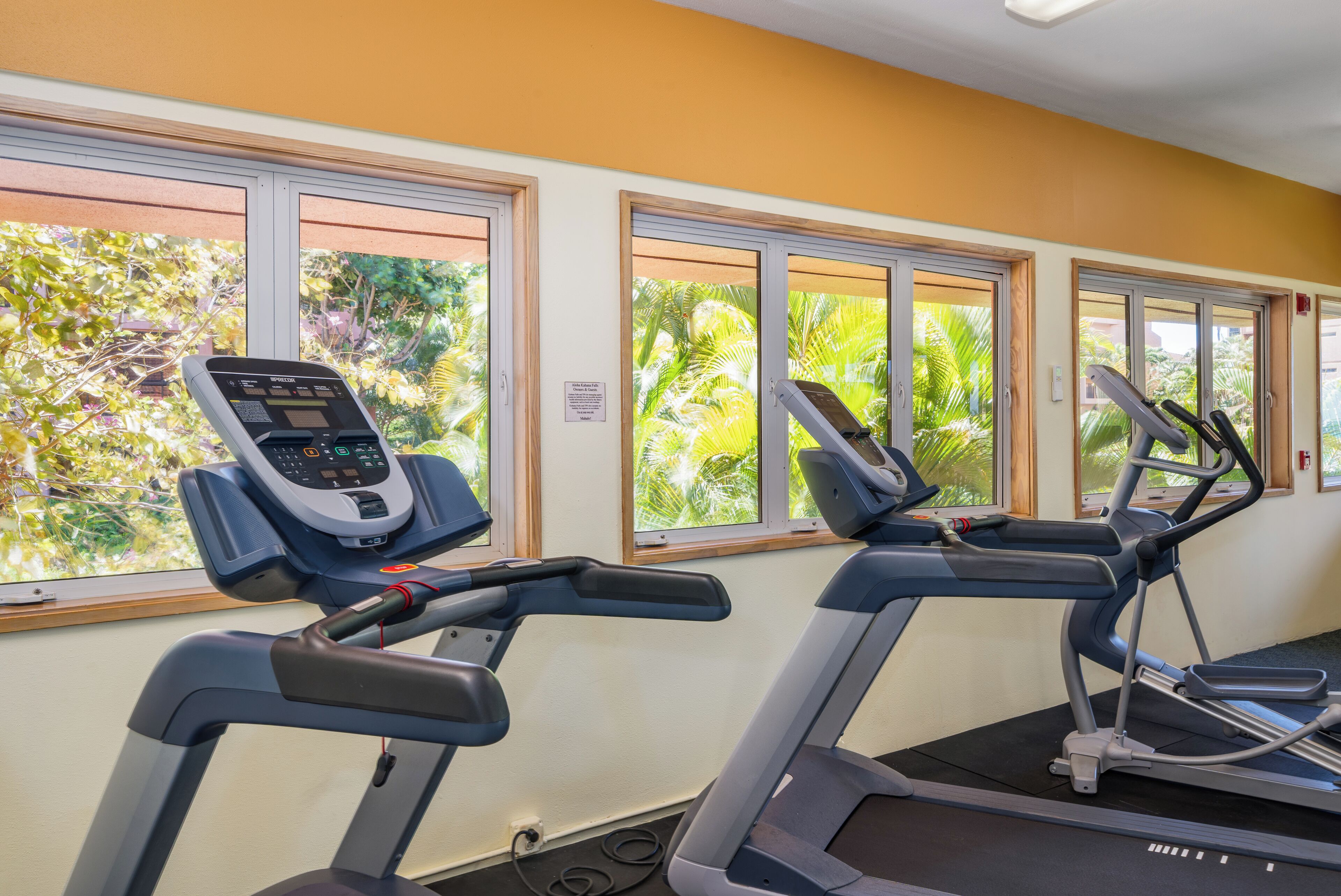 A gym with treadmills and a stationary bike, large windows with a view of greenery.