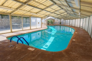 An indoor swimming pool with a curved design, surrounded by glass walls and a metal roof.