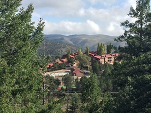 A mountainous area with red-roofed buildings surrounded by trees.