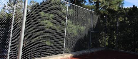 A basketball court with a net, surrounded by a chain-link fence and trees in the background.