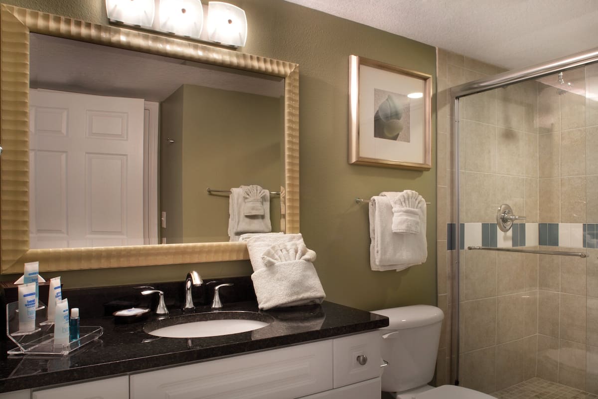 Combined shower/tub, free toiletries, hair dryer, towels