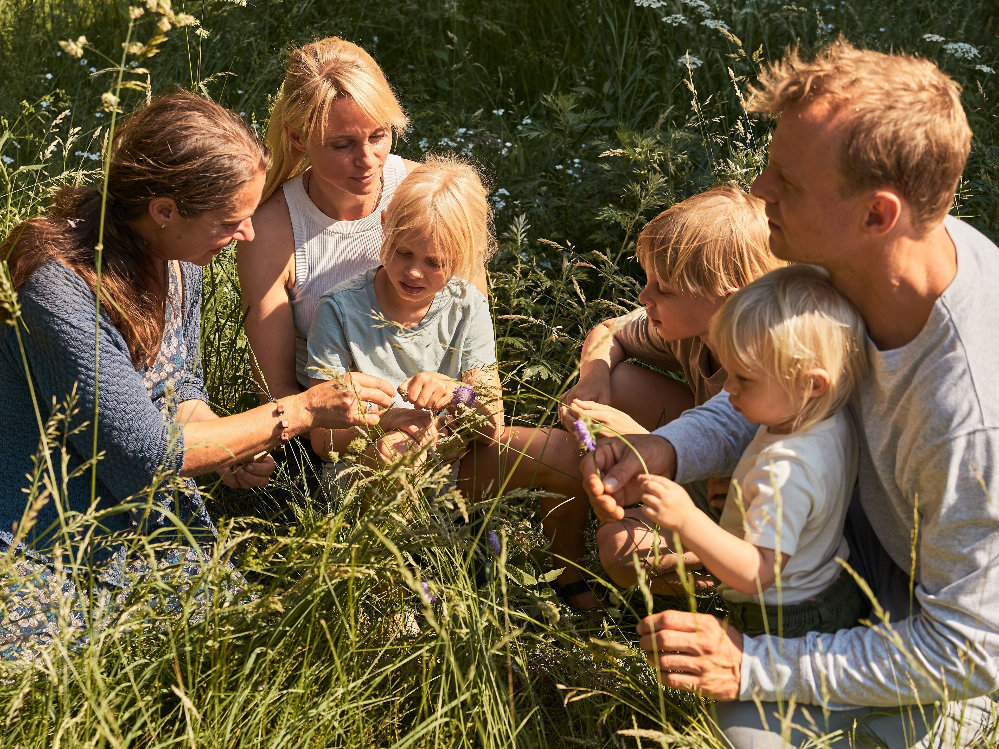 Un groupe de personnes est assis à l’extérieur, dans un cadre naturel, entouré d’herbes hautes et de fleurs sauvages.