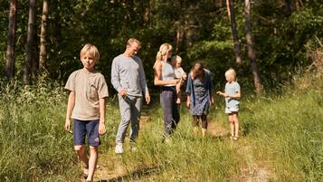 Un grupo de personas caminando por un sendero en un bosque.