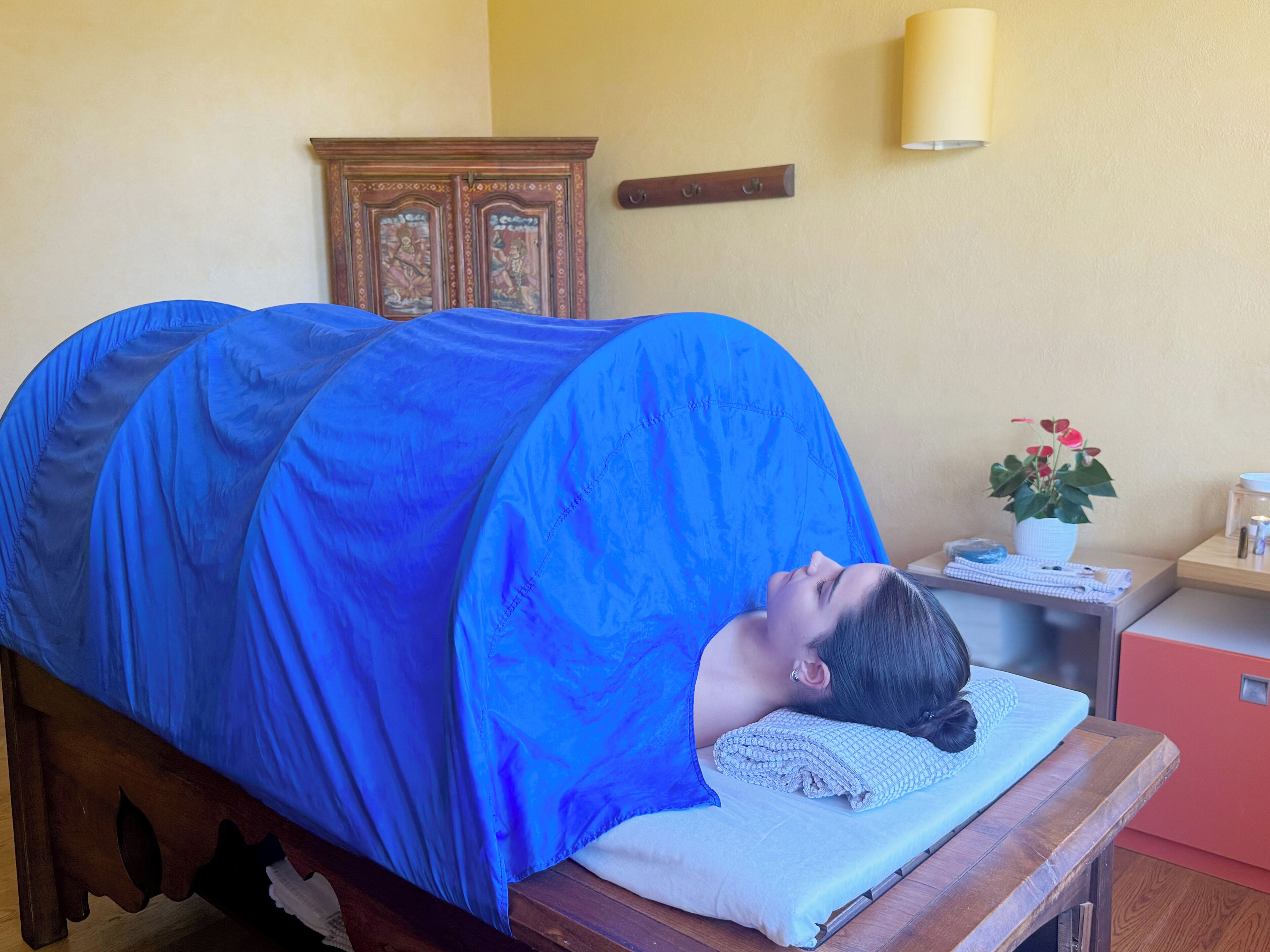 A room with a bed covered in a blue blanket, a wooden cabinet, a small table with a potted plant, and a wall-mounted lamp.
