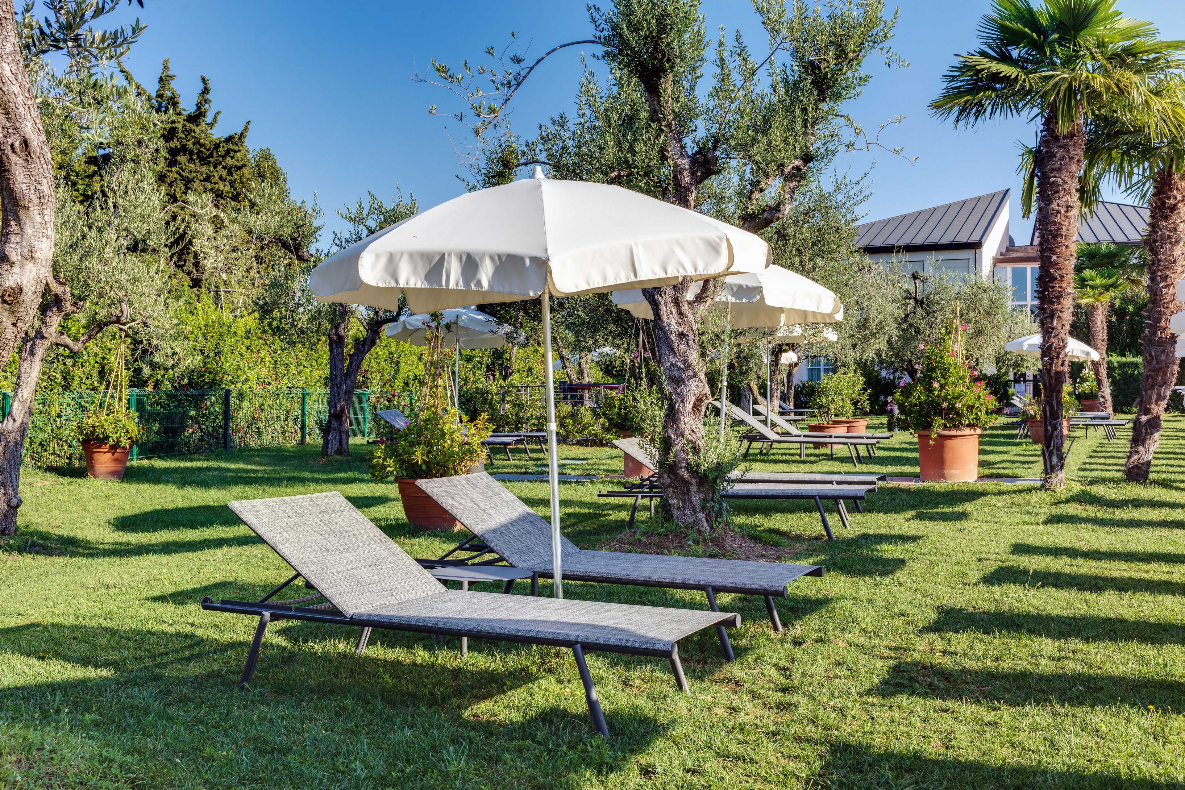 Ein Garten mit Liegestühlen und Sonnenschirmen, umgeben von Bäumen und Kübelpflanzen.