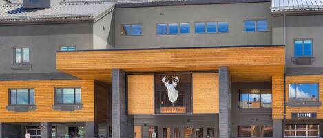A building with a wooden facade, a mounted deer head sculpture, and a sign reading "gravity house."