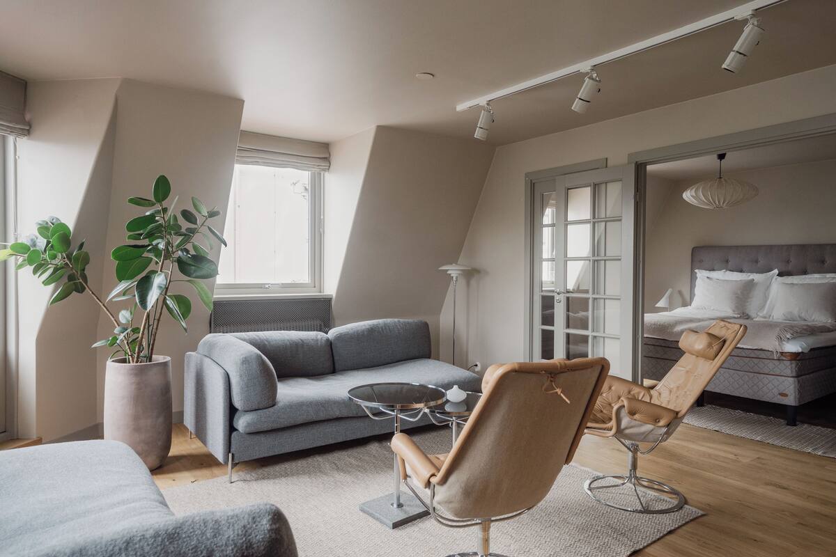 A modern living room with a grey sofa, a leather armchair, a glass coffee table, and a large potted plant.