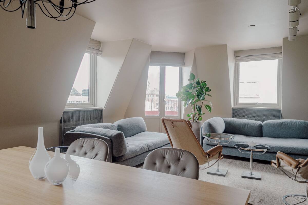 A modern living room with a sofa, chairs, a dining table, and a plant.