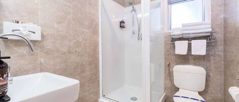 A bathroom with a glass-enclosed shower, a white sink, and a toilet with a blue stripe.