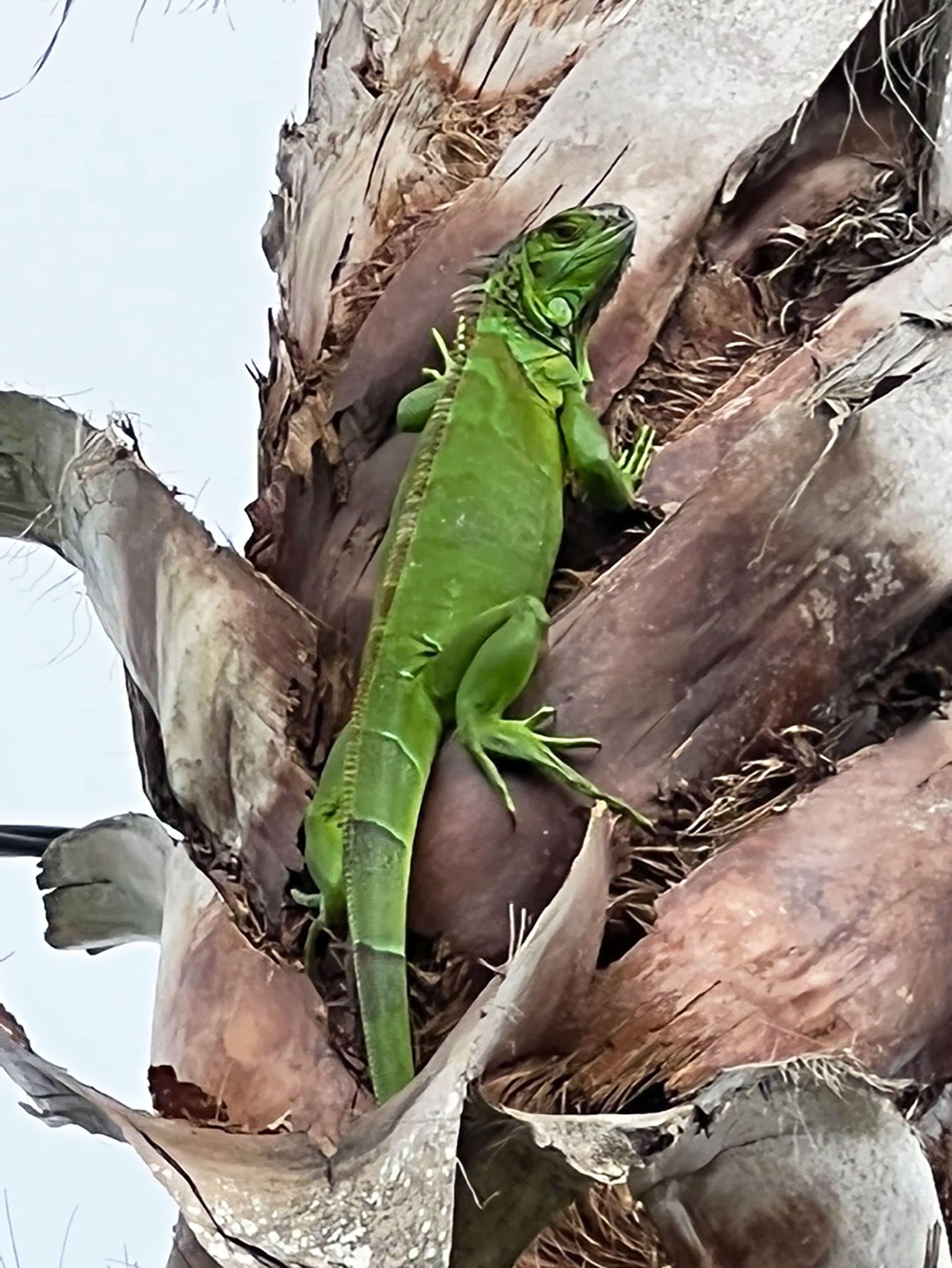 Foto - The Grand Guesthouse