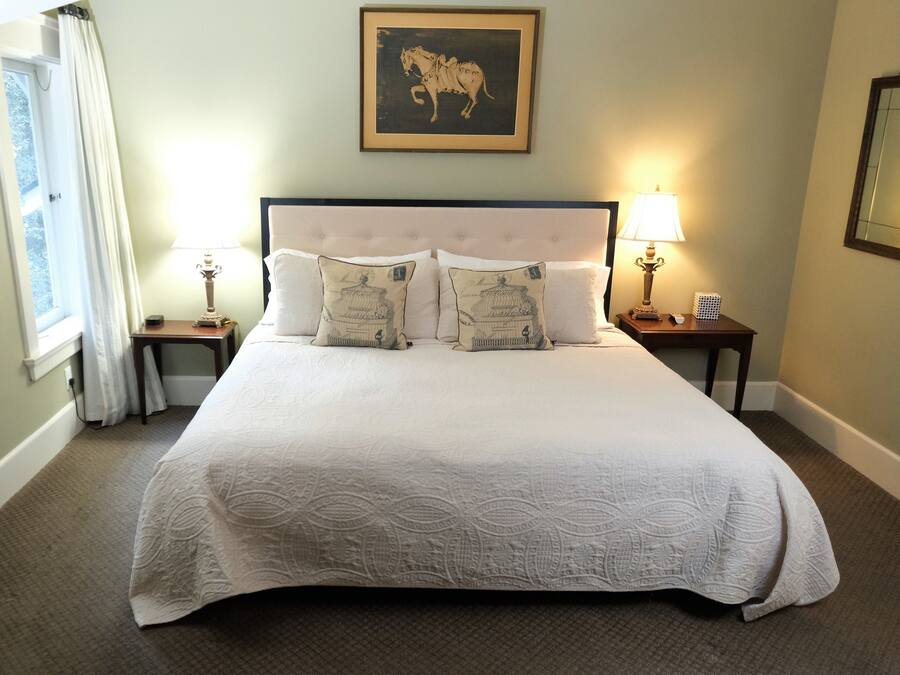 Forest Room (King Bed)