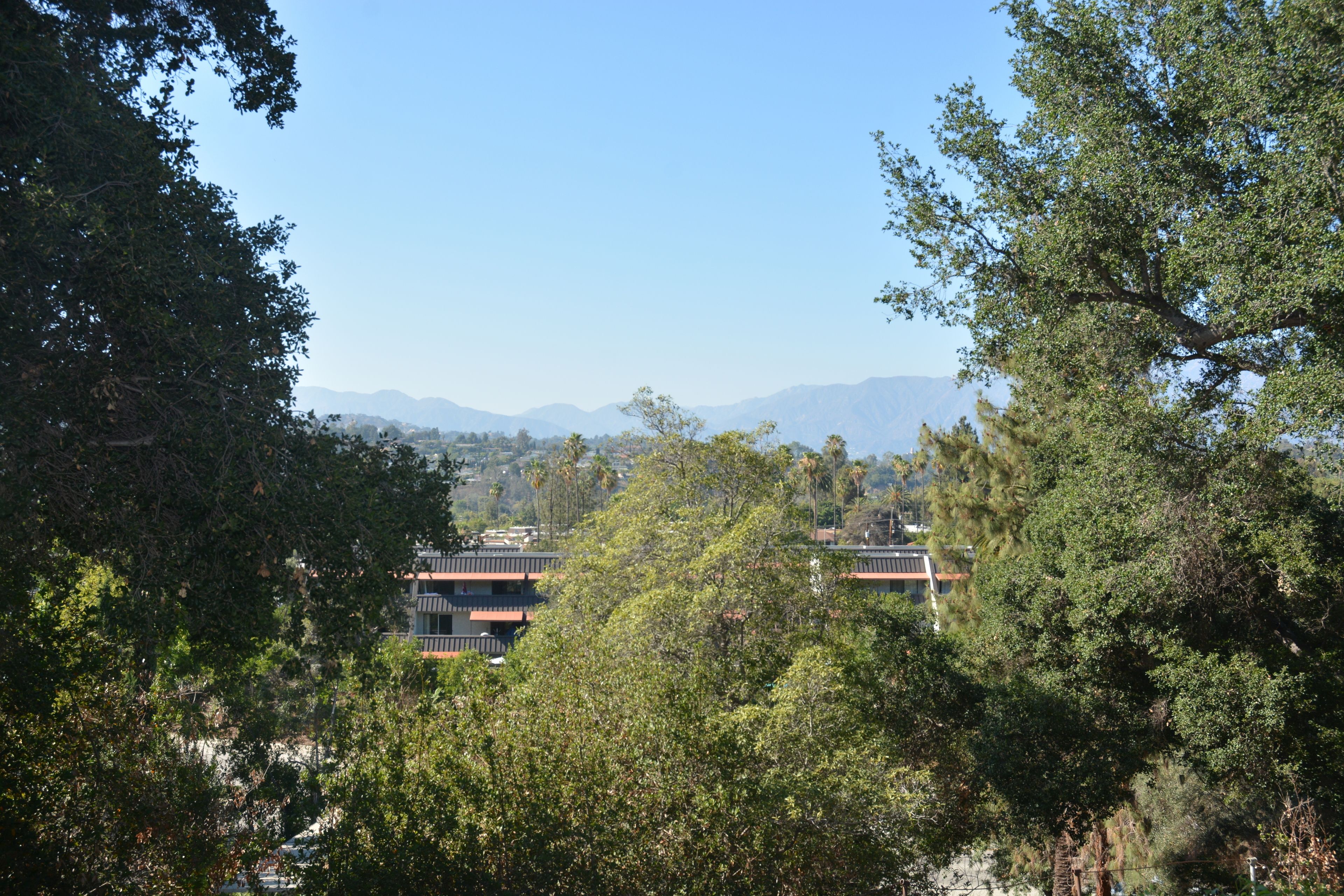 Photo - Arroyo Vista Inn