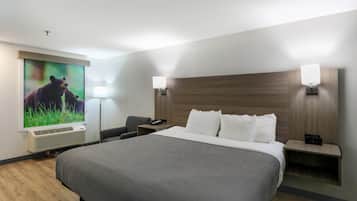 A hotel room with a large bed, a desk, a chair, a telephone, a lamp, and a wall-mounted air conditioner.