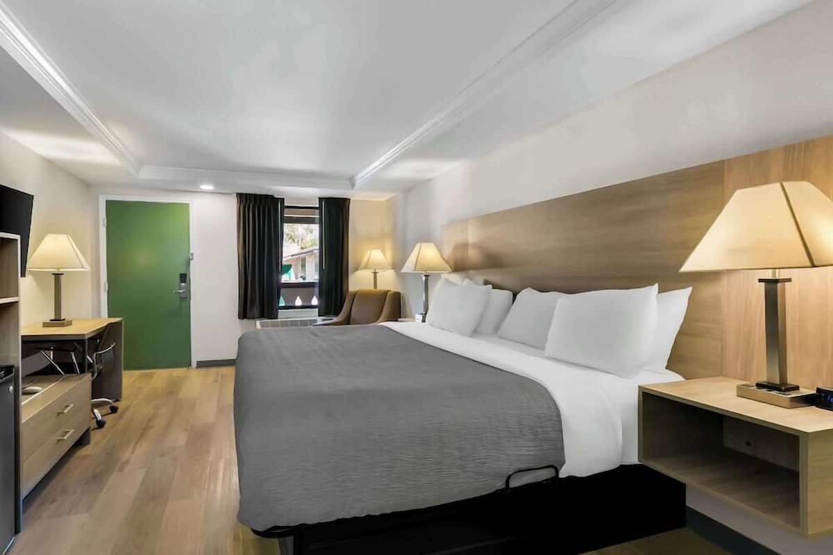 A hotel room with a bed, bedside lamps, a desk, and a television.