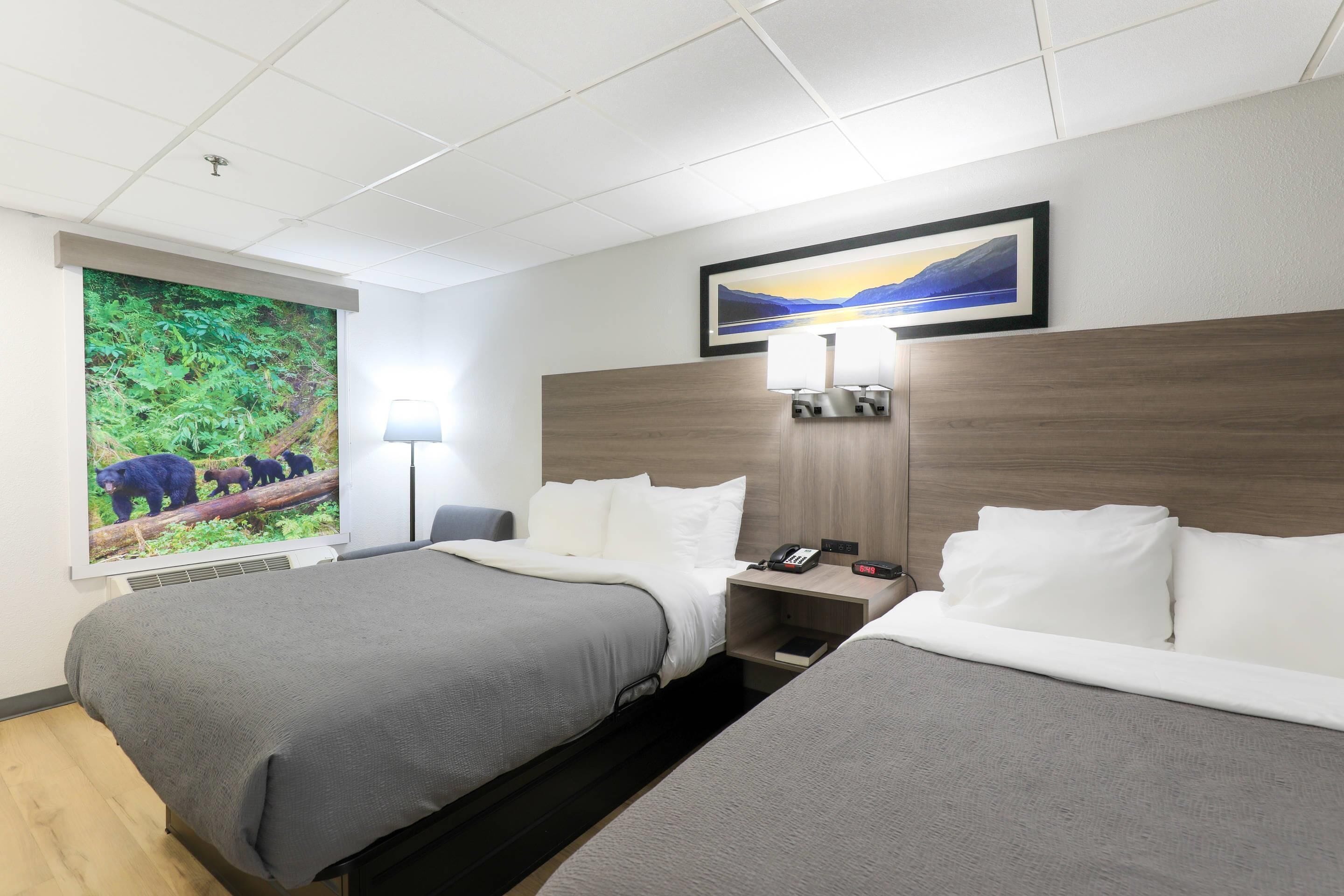 Habitación de hotel con dos camas, un ventanal con vistas a la naturaleza, un cuadro colgado en la pared y una mesita de noche con lámpara y teléfono.
