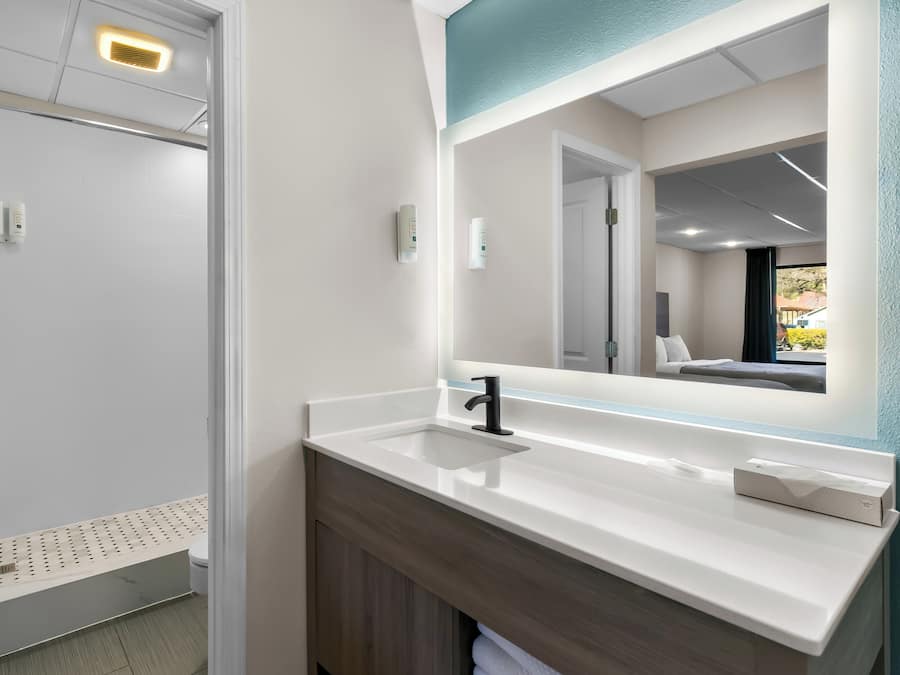 Combined shower/bathtub, free toiletries, hair dryer, towels
