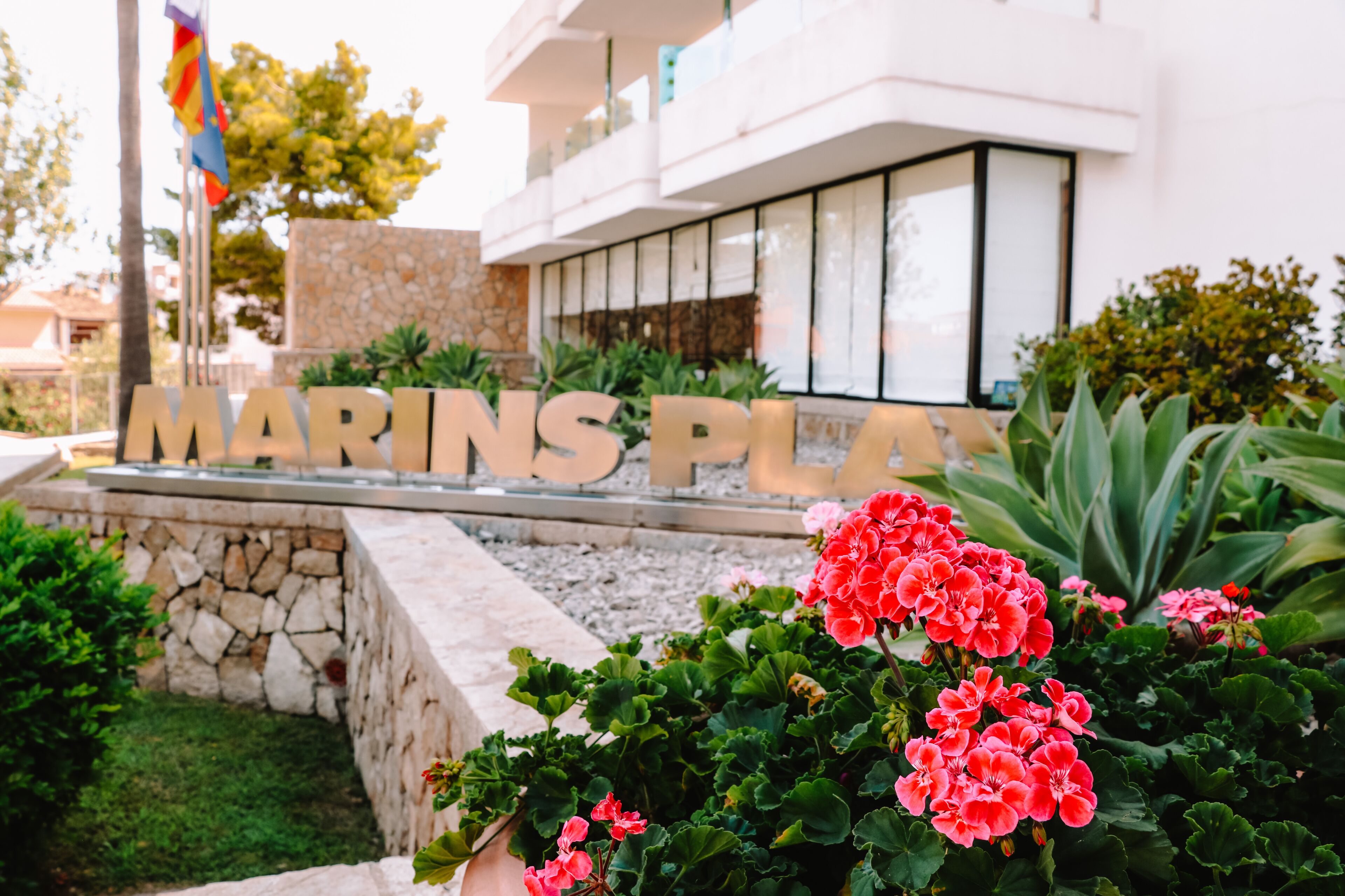 Photo - Marins Playa