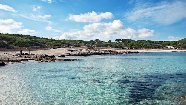 A coastal beach with clear turquoise water, rocky shoreline, and green hills in the background. - Hotel Bell Port (Capdepera)