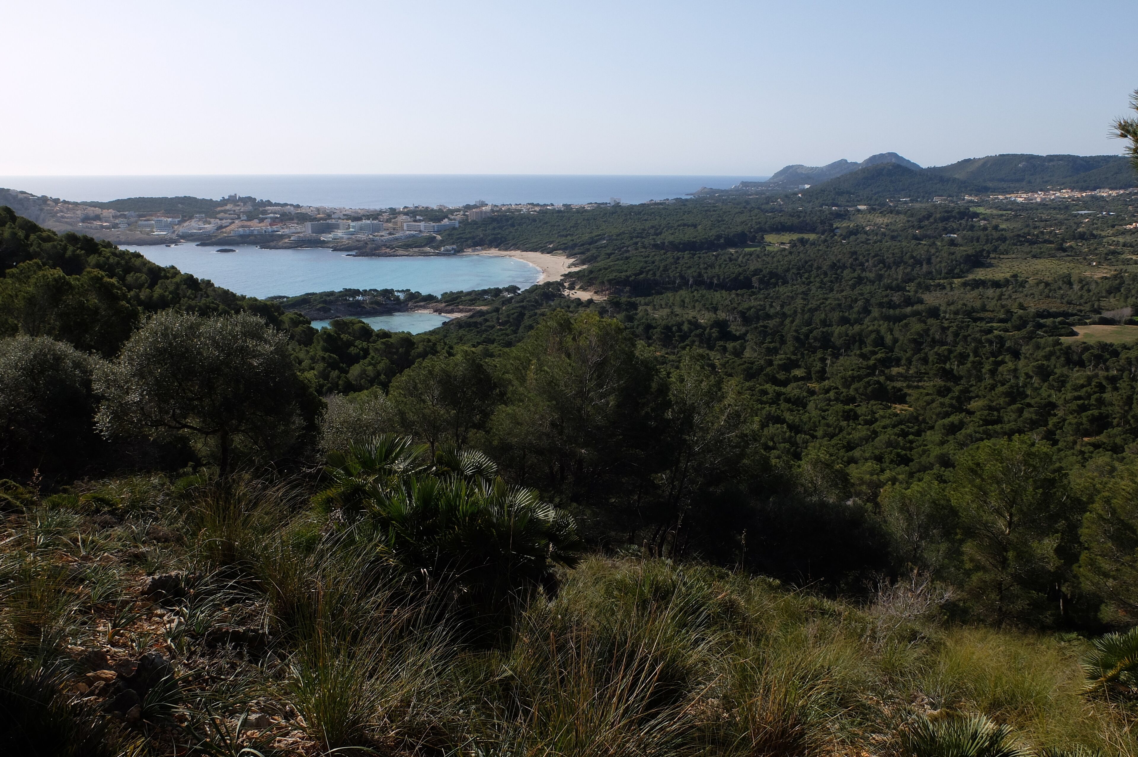 A coastal landscape with dense forest, a beach, and a clear view of the sea.