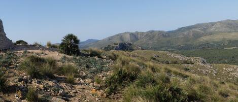 A rocky hill with a stone tower and sparse vegetation.