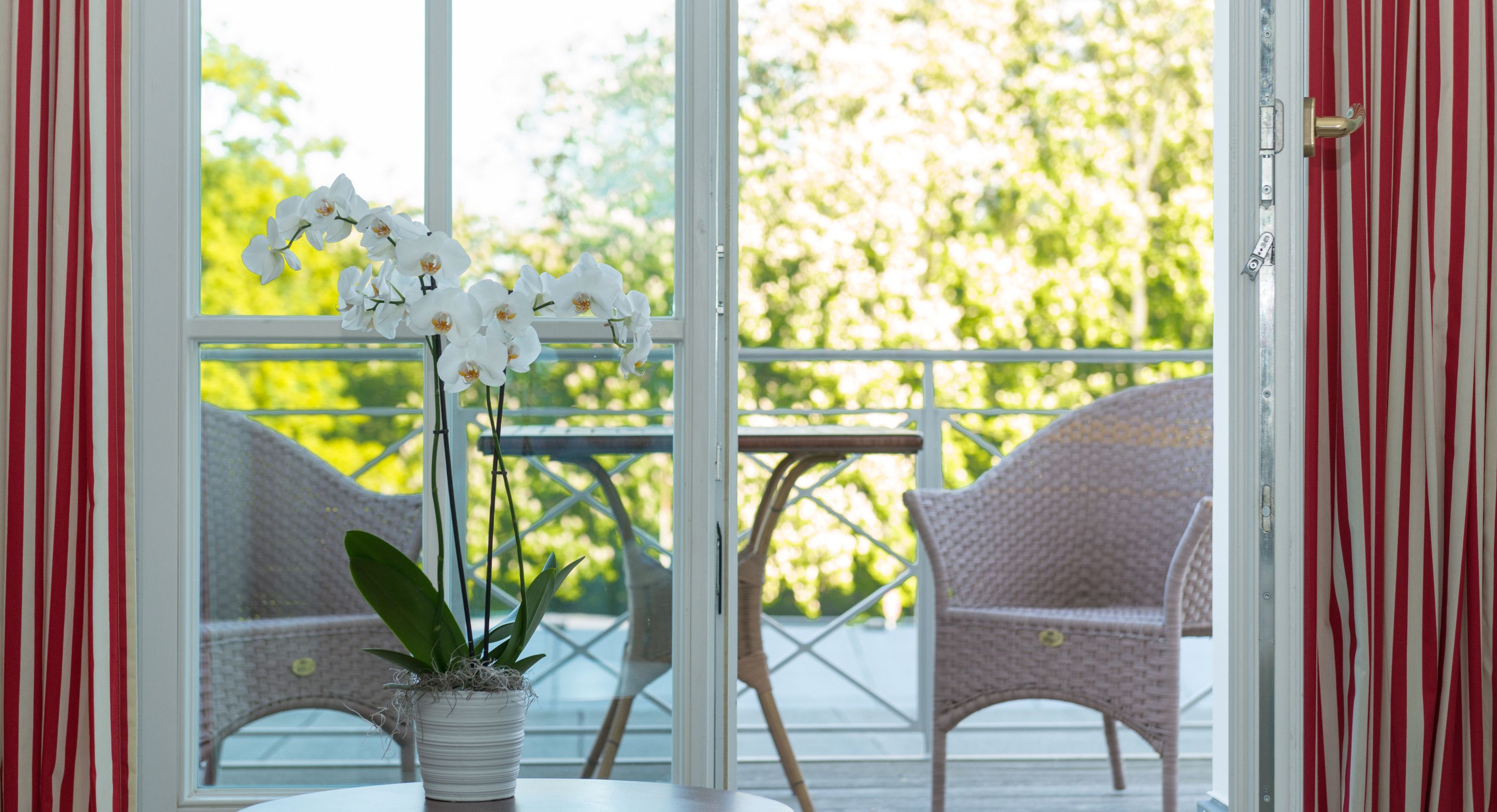 junior suite, ocean view | balcony