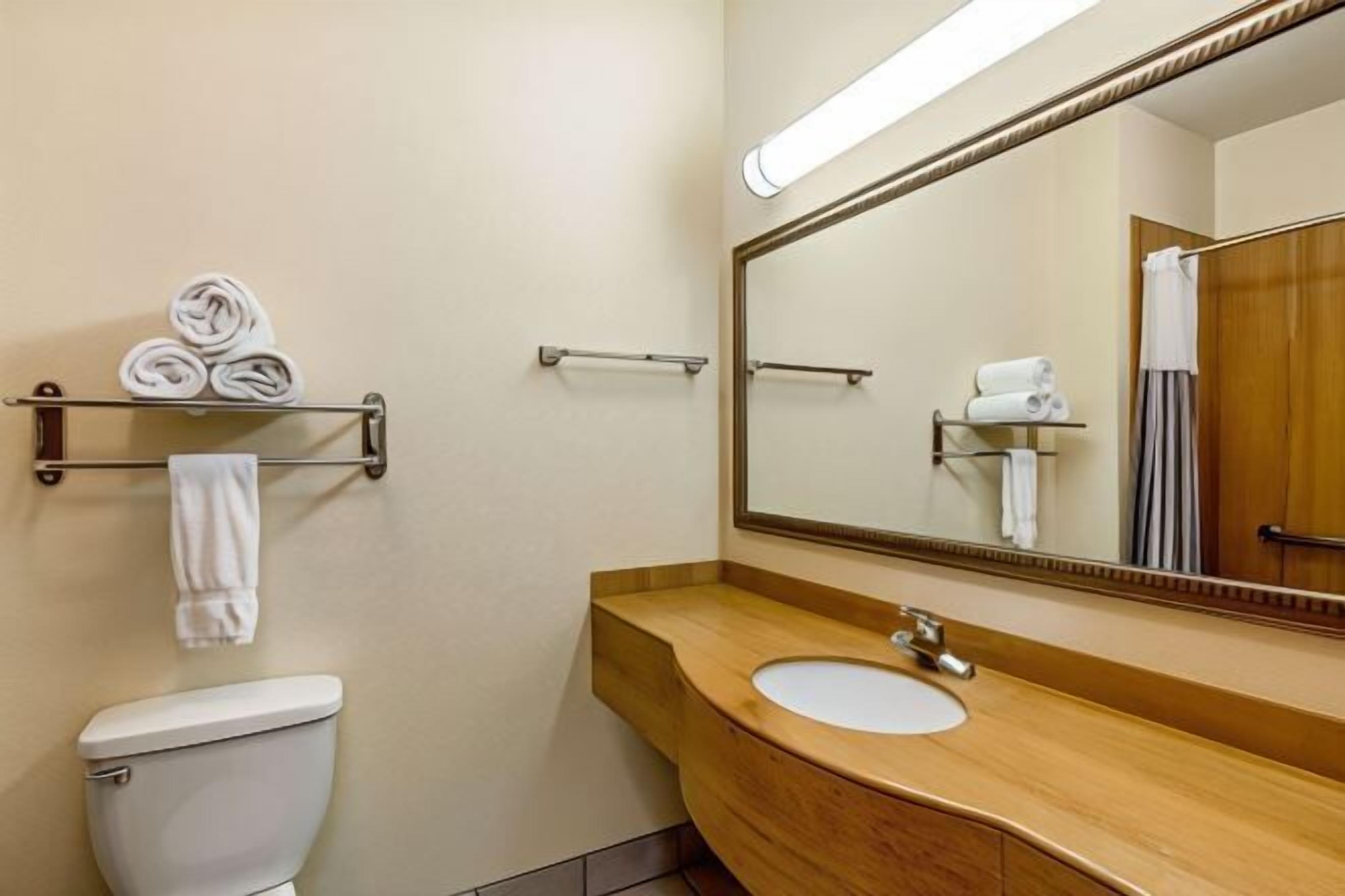 Bathroom | Combined shower/tub, free toiletries, hair dryer, towels